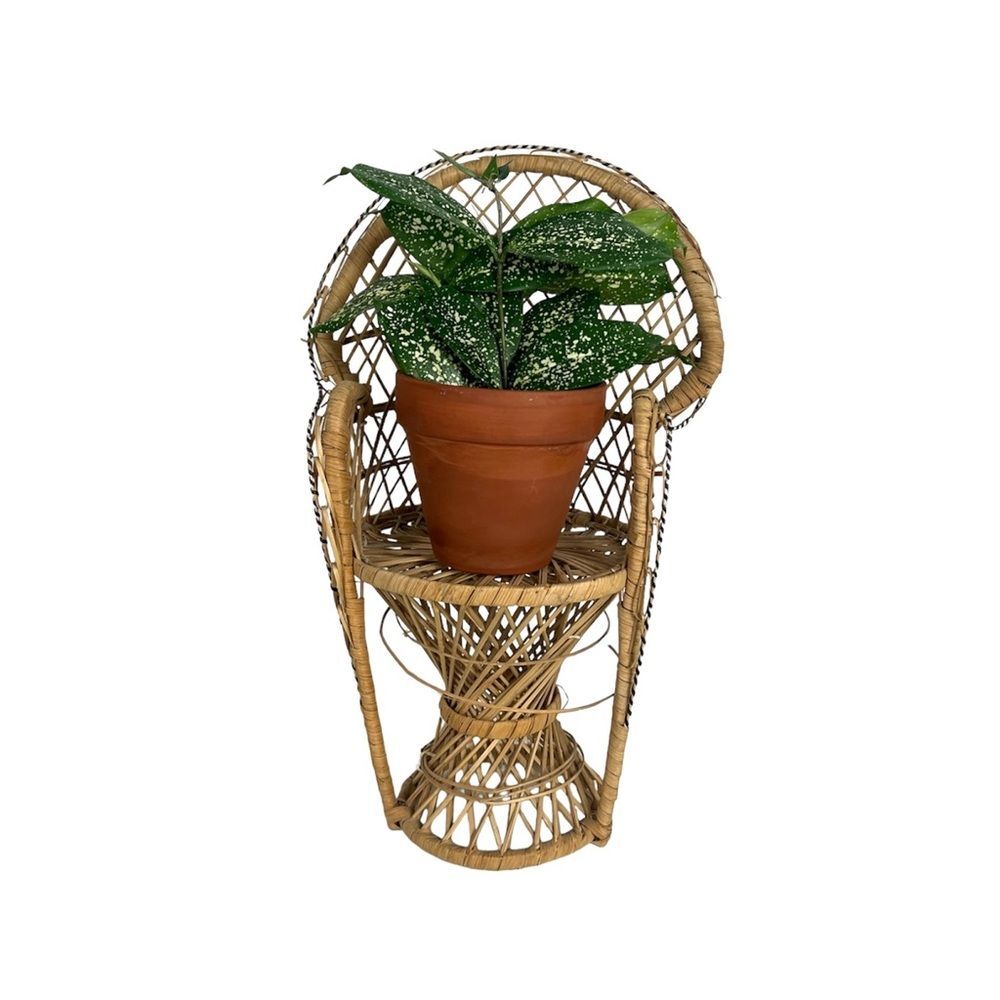 Vintage Peacock Chair, Wicker Rattan Woven Plant Stand